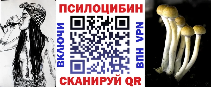 где найти наркотики  Александровск  Псилоцибиновые грибы Psilocybine cubensis 